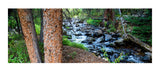 North Fork Of Little Laramie River