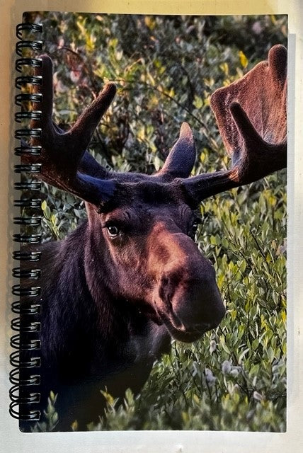 Bull Moose Journal Photographer: Jason Sondgeroth  8" x 5.5"  Picture of Bull Moose in willows  Snowy Range Mountains, Laramie, Wyoming  Spiral Journal  Lined pages