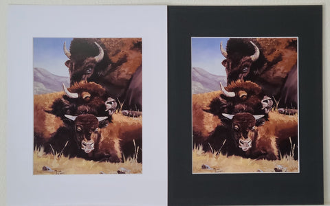 " On Guard " Bison Family Matted Print