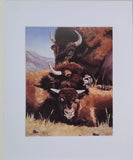 " On Guard " Bison Family Matted Print