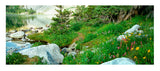 " Quartzite And Wildflowers Along Lake Marie " Panoramic Card