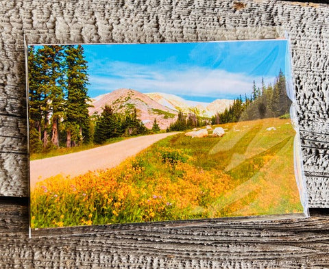 " Snowy Range " Photographic Card Pack of Five Photographer: Lisa Edward Five different photographs of places in the Snowy Range Mountains west of Laramie Wyoming  Blank Card  Kraft envelope included   5 1/2" long x 4 1/4" wide x 1/2 deep 