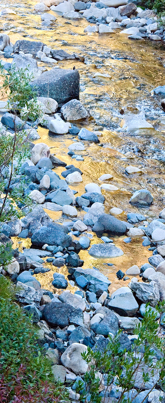 Rock Creek The Golden Hour Bookmark Artist: Susan Davis Photographer  Laminated print on metallic paper with ribbon  Rock Creek during the Golden Hour with little American Dipper bird  7 1/4" long x 1 3/4" wide  A beautiful way to mark the pages of your favorite book