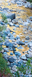 Rock Creek The Golden Hour Bookmark Artist: Susan Davis Photographer  Laminated print on metallic paper with ribbon  Rock Creek during the Golden Hour with little American Dipper bird  7 1/4" long x 1 3/4" wide  A beautiful way to mark the pages of your favorite book
