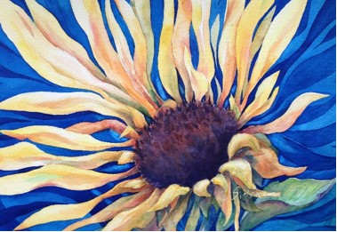 " Sunflower " Fine Greeting Card Frameable