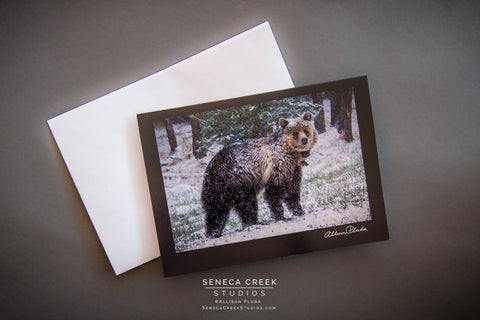Black Bear In The Snow  Greeting Card
