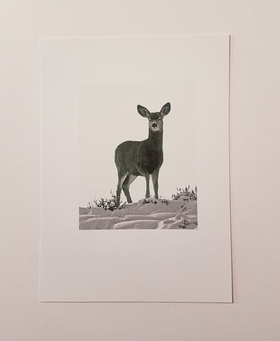 "Sister" Black White Photo of Deer Blank Card 4 Pack