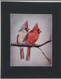 " Sittin' on the Porch " Cardinals Matted Print