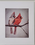 " Sittin' on the Porch " Cardinals Matted Print