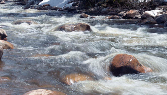 Spring Rush - Brush Creek, Wyoming