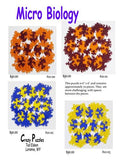 Puzzle Micro Biology Acrylic Ted Edeen, Puzzle Maker Multi colored acrylic pieces Total puzzle size 6" x 6" x 1/8" Red, orange puzzle pieces 2 sided 2D pieces In nice clear case Please note, the jewelry is custom designed by the Artist , 