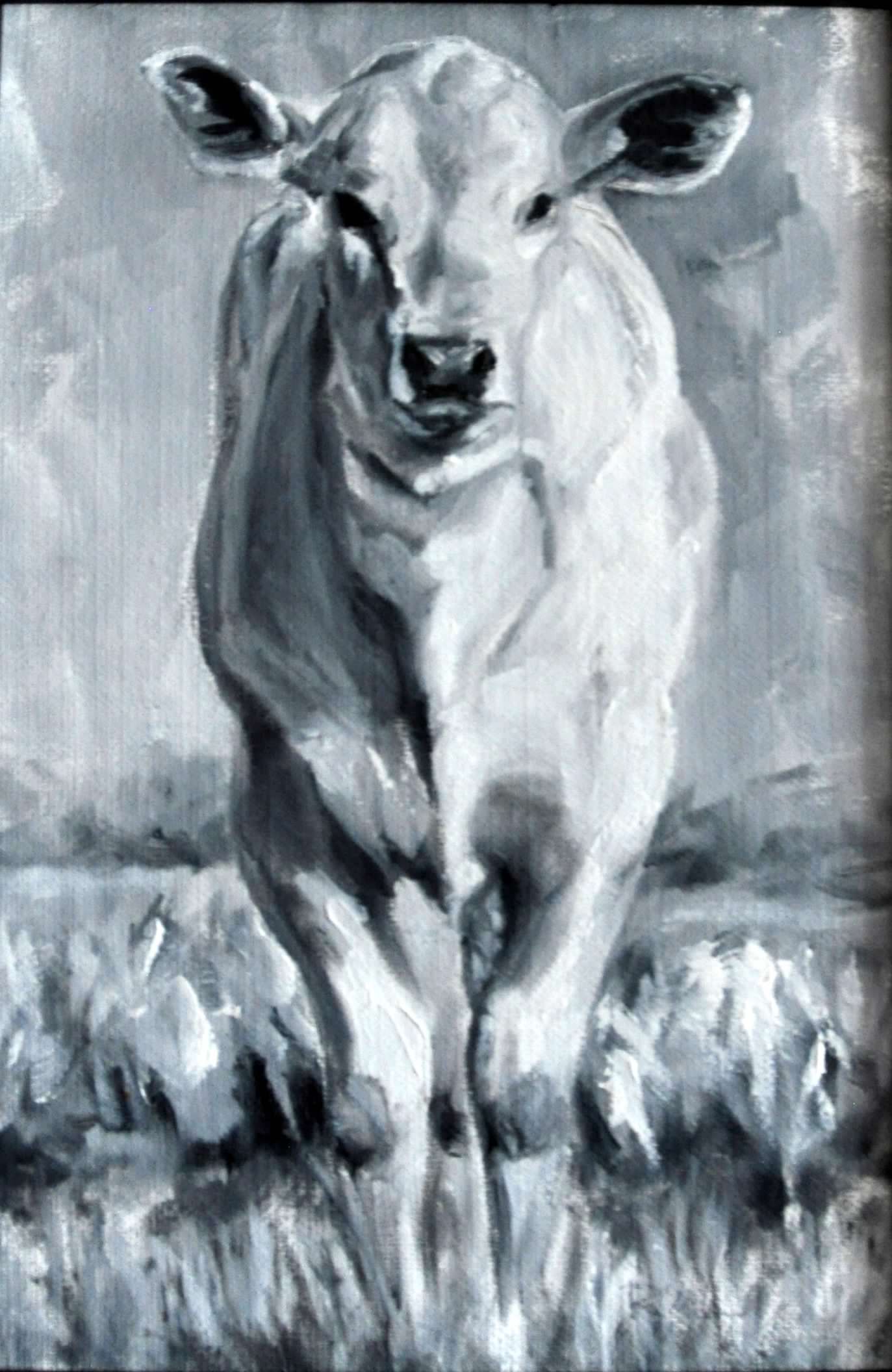 Blank card with envelope  Print of original black & white oil painting of white calf standing in field  5" long x 7" high  Print of an original oil painting by the artist  Artist photograph and information on the back of the card