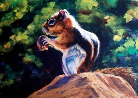 ground squirrel enjoying a nut while standing on a rock. green foliage background. 5 by 7 blank card with envelope