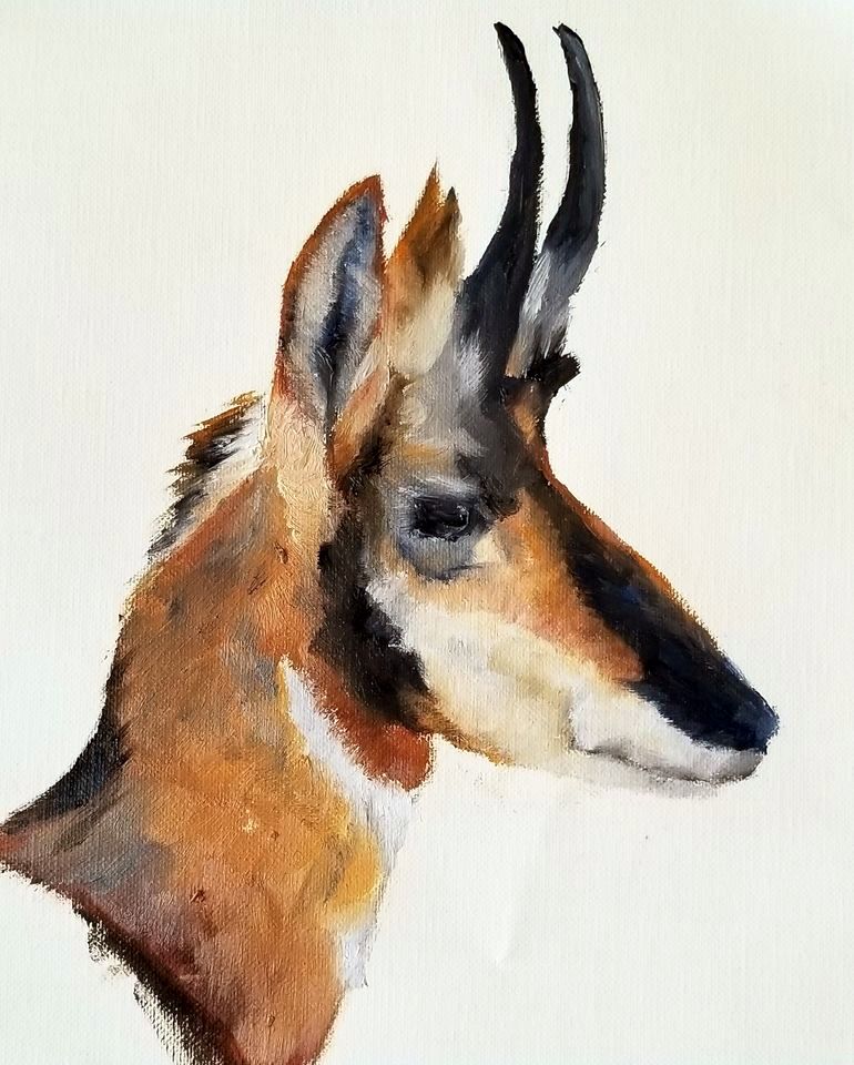 Pronghorn antelope buck quick sketch painting  Blank card with envelope  Image from an original oil painting by the artist  5" long x 7" high  The original painting was hand done by the artist and is printed on the card   Artist photograph and information on the back of the card