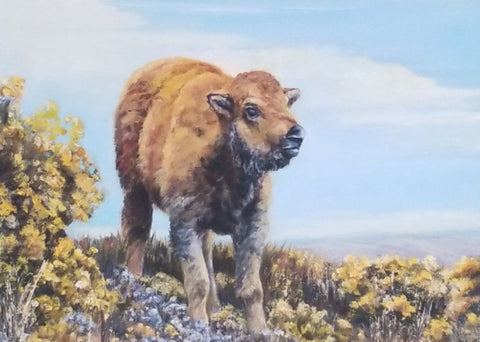 Young bison calf standing in the sagebrush waiting for mama with a blue sky in the background  Blank card with envelope  Image from an original oil painting by the artist  5" long x 7" high  The original was hand painted by the artist and is printed on the card   Artist photograph and information on the back of the card
