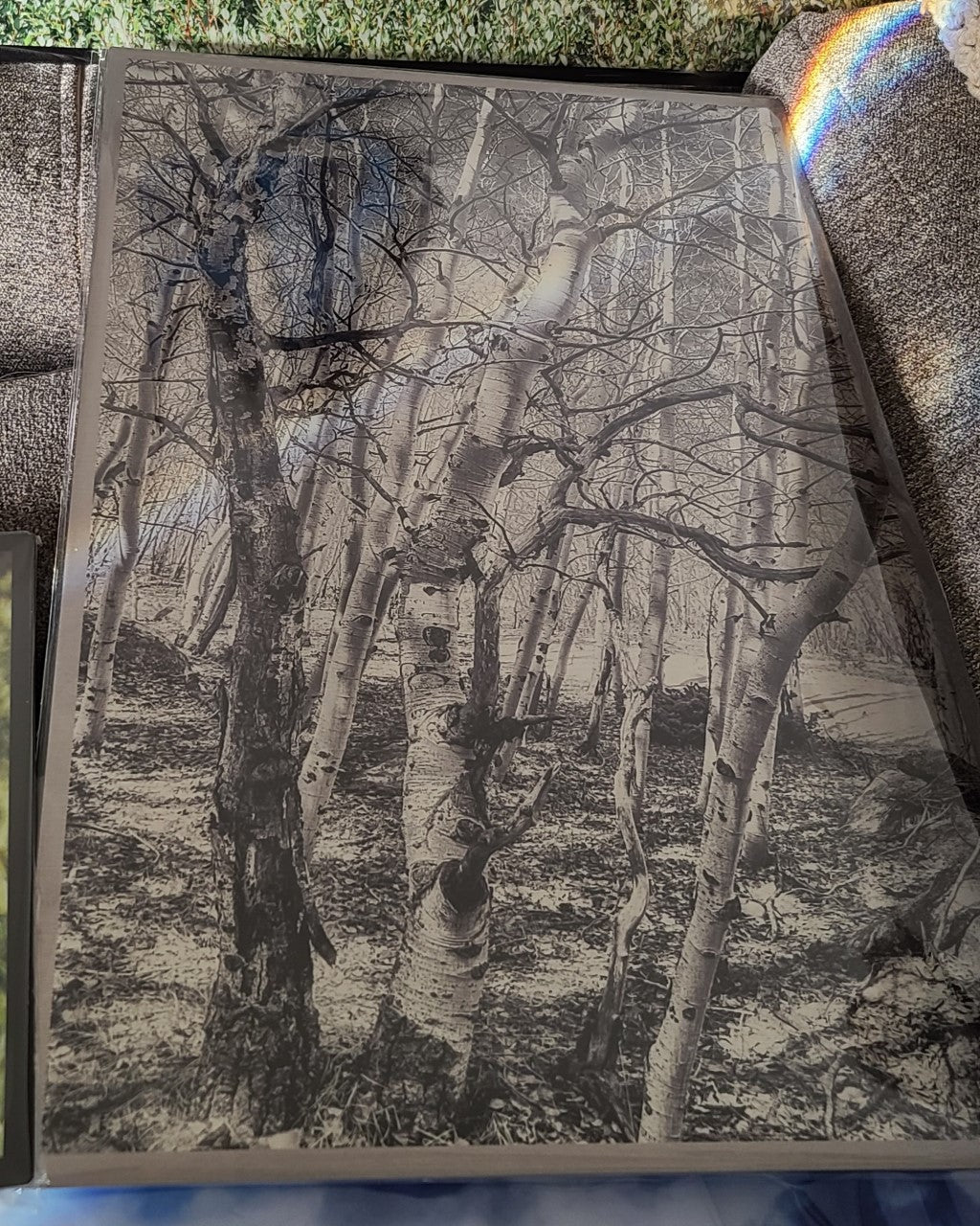 " Twisted " Metal Aspen Photograph Print