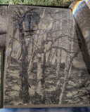 " Twisted " Metal Aspen Photograph Print