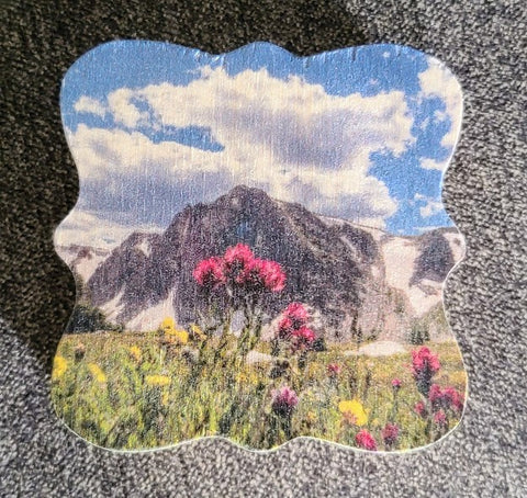 Unique designed wooden magnet with Snowy Range and wild flowers and a beautiful blue sky full of fluffy clouds  3.5" x 3 1/2" squared cutout x 1/4" wide  Magnet is inset into the wooden disk