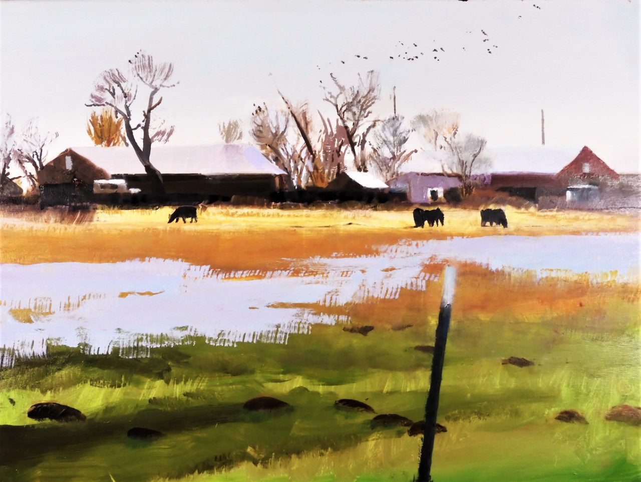 Original oil on canvas  Cattle grazing on a flooded meadow in the Spring  Barn and homestead in the background with a flock of birds flying overhead  Framed in a dark graphite metal frame  24" long x 18" high original oil  D-ring and wire on the back for hanging
