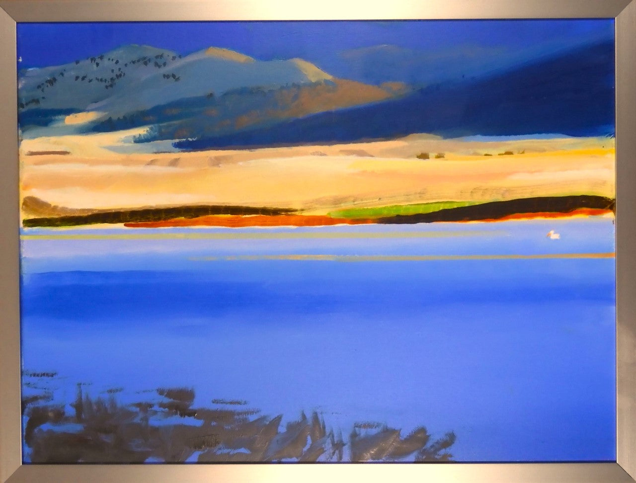 Original Oil on Canvas. A lone Pelican swimming in the still water looking for fish  Mountains and dark clouds in the background  Framed in a dark gray metal frame  24" long x 18" high original oil  D-ring and wire on the back for hanging