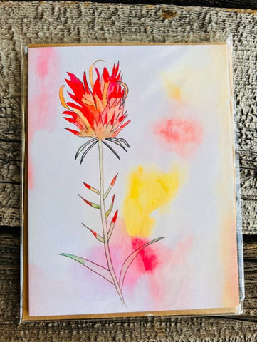 Indian Paintbrush Greeting Cards