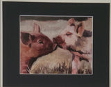 " Piggy Love " Pigs Matted Print