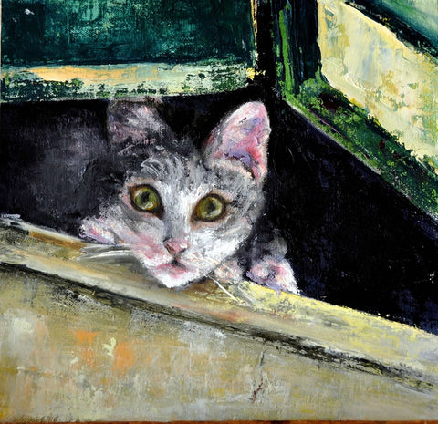 Gray and white cat looking out from the shutters of a window  Blank card with envelope  Image from an original oil painting by the artist  5" long x 7" high  The original was hand painted by the artist and is printed on the card 