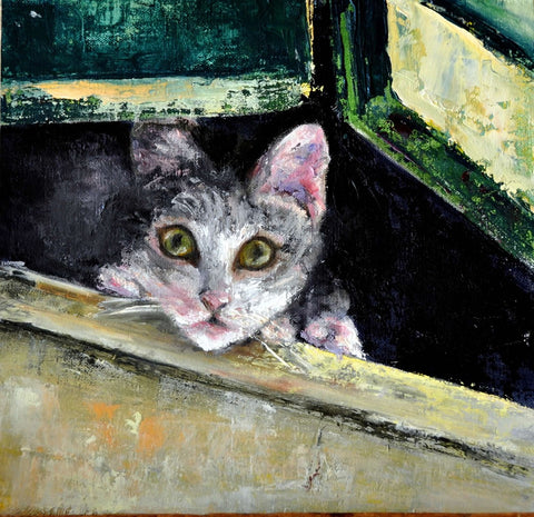 Gray and white cat looking out from the shutters of a window  Blank card with envelope  Image from an original oil painting by the artist  5" long x 7" high  The original was hand painted by the artist and is printed on the card 